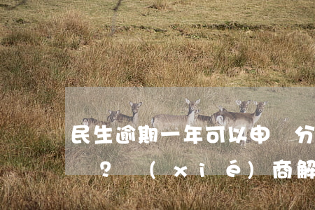 民生逾期一年可以申請分期還款嗎？協(xié)商解決方法介紹